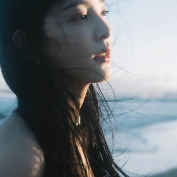 四片羽毛 海报